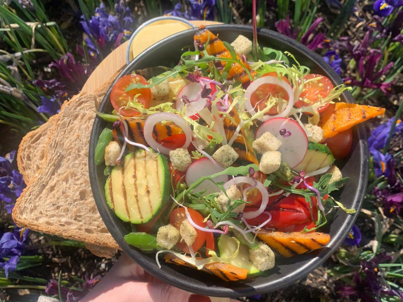 hortus grand cafe – Leiden – Hortus botanicus